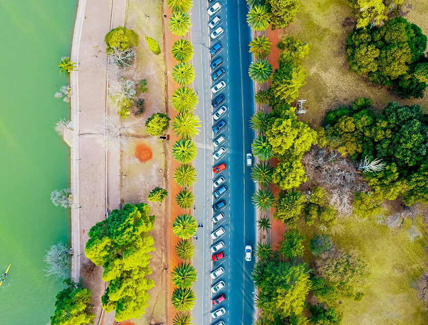 Bare Necessities, Strategic Planning